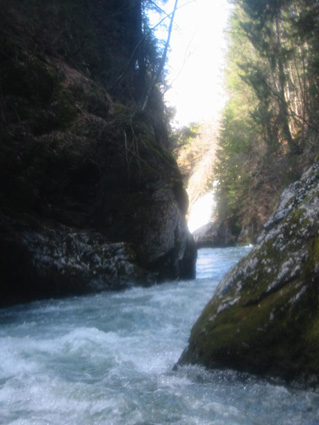 Gorge du Vannelle sur la Sarine